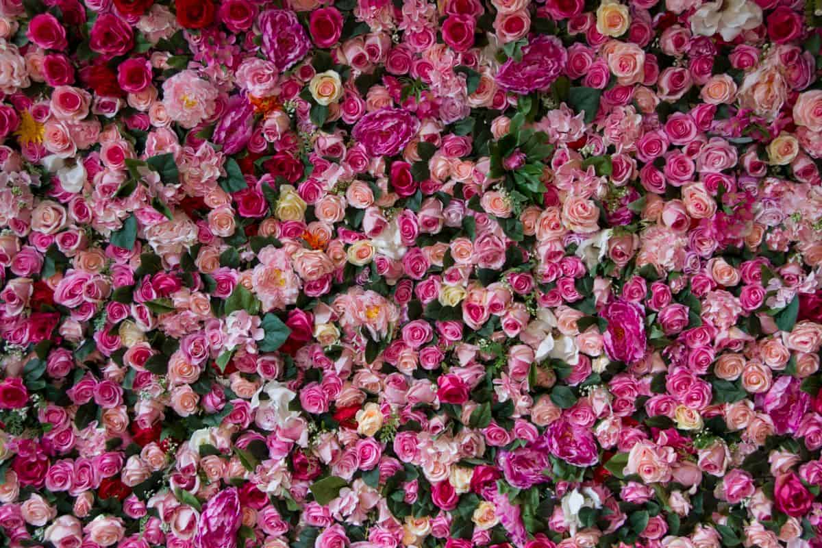 Flower Wall Installation